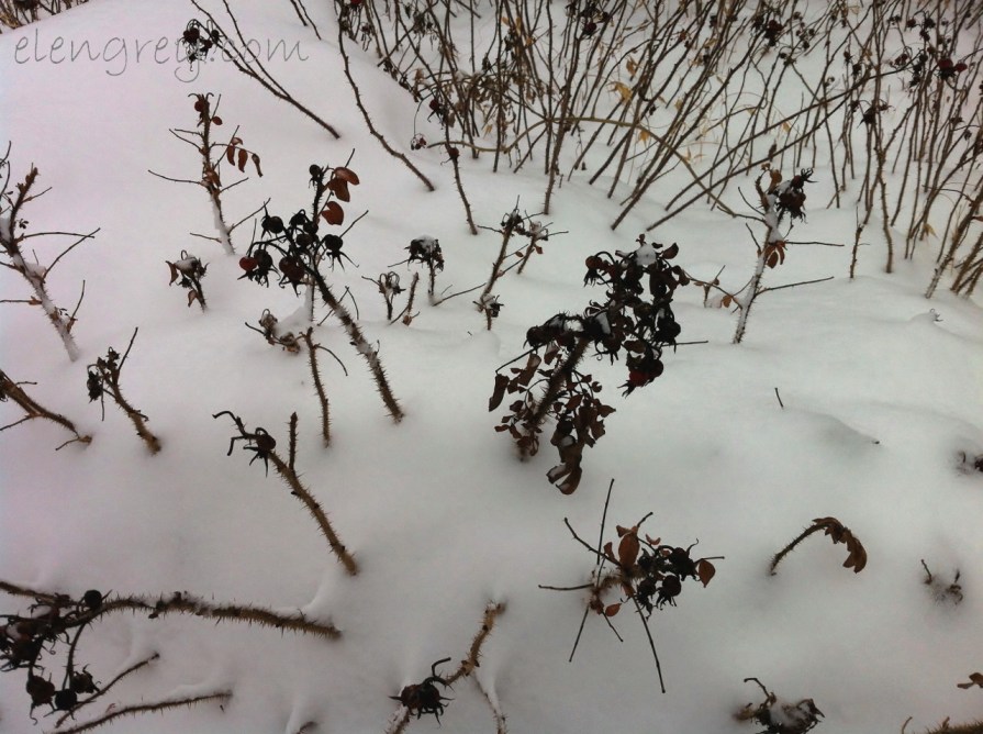 IMG_9582_winter_drag_elengrey_february_2015 (1280x956)