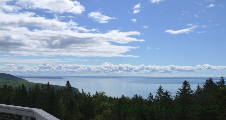 fundy_national_park_4_june_2015 (1280x682)