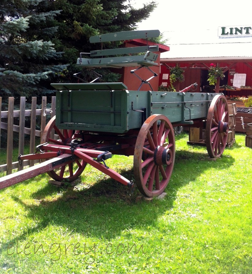 IMG_1352_dial-a-ride_elengrey_august_2015 (1177x1280)