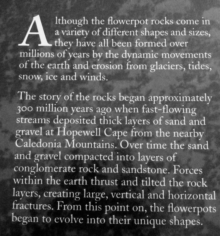 IMG_0894_hopewell_rocks_3_elengrey_june_2015 (1193x1280)