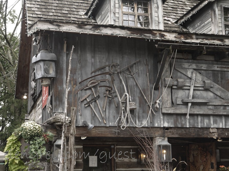 P1100314_bt_festival_3_elengrey_guest_september_2015 (1280x959)