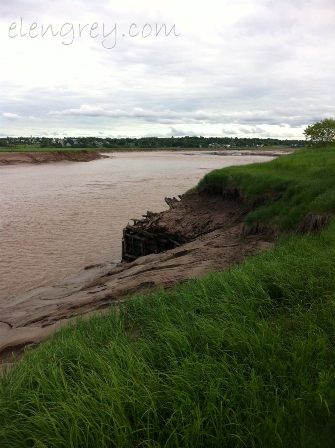 IMG_0987_tidal_bore_2_moncton_elengrey_june_2015 (956x1280)
