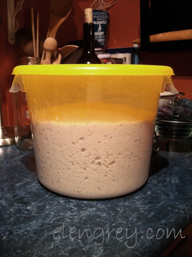 IMG_1788_dough_bucket_elengrey_october_2015 (954x1280)