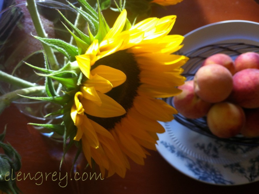 IMG_7559_sunflower_elengrey_october_2015 (1280x956)