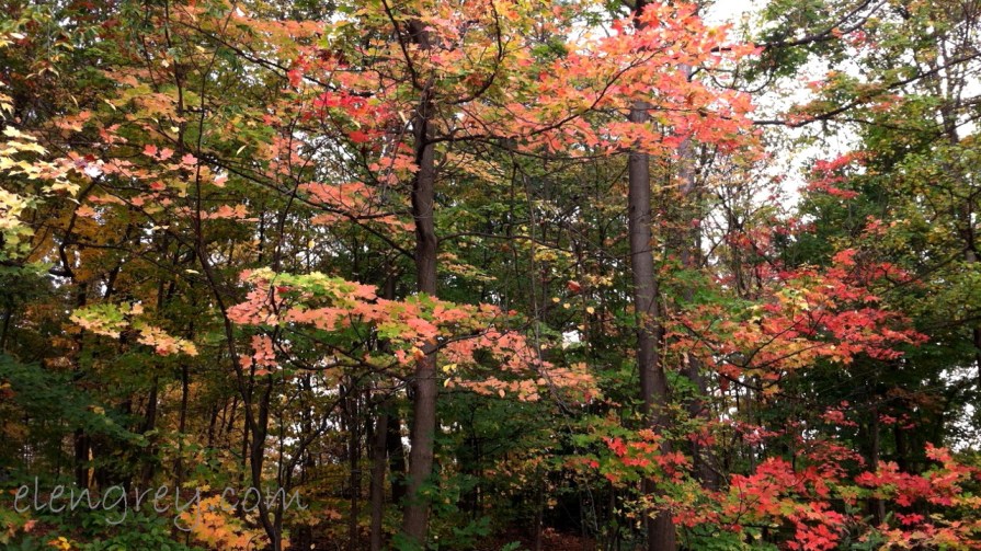 rest_area_michigan_october_2013 (2) (1280x720)