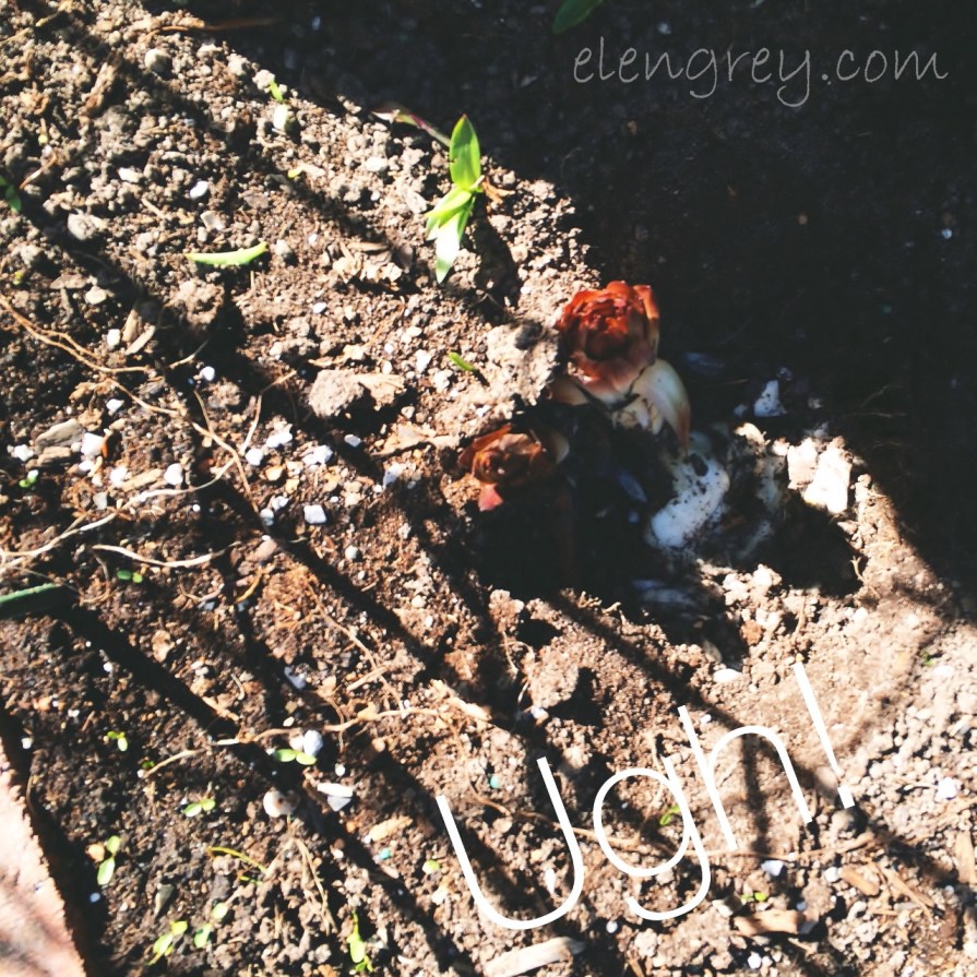 ugh_elengrey_may_2016 (2) (1280x1280)