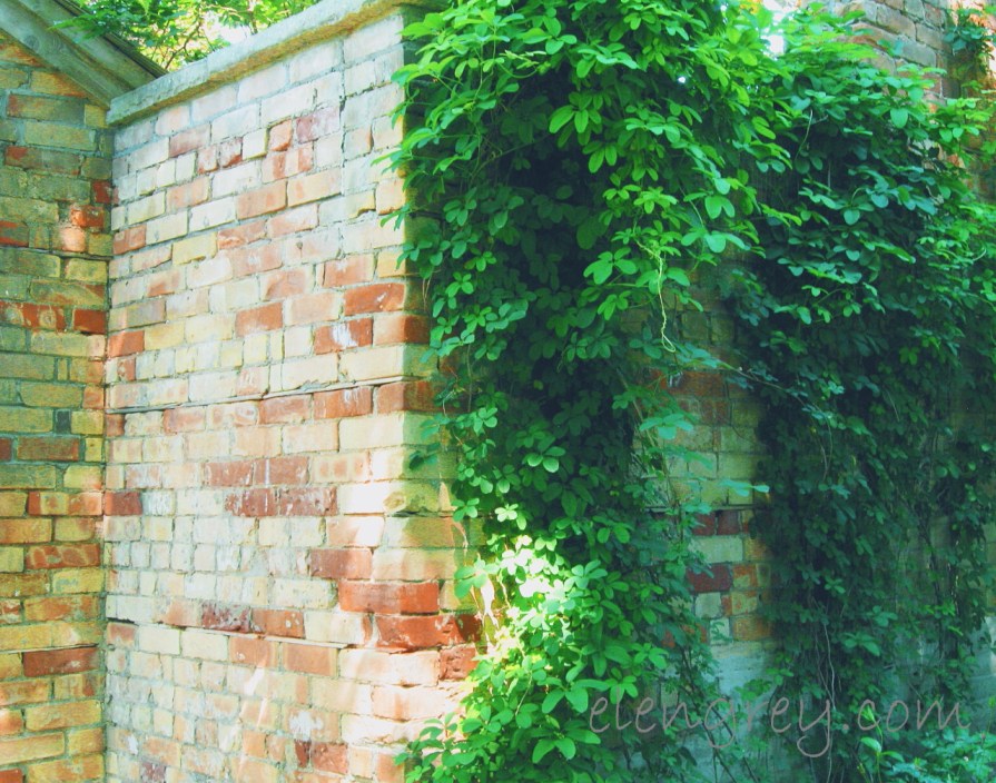 creeper_wall_elengrey_july_2014 (1280x1007)