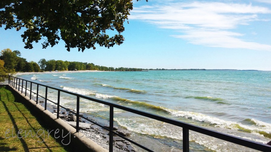 wellington_on_elengrey_september_2016-1280x720