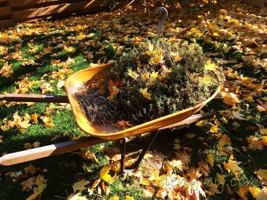 leaves_on_the_ground_elengrey_november_2016-1280x960